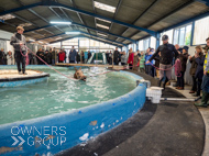 WG031025-34 - Golden De Coeur swimming